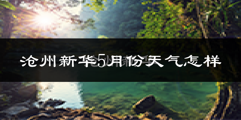 沧州新华5月份天气怎样?沧州新华五月冷吗?
