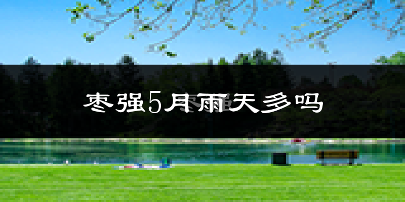 枣强5月雨天多吗?