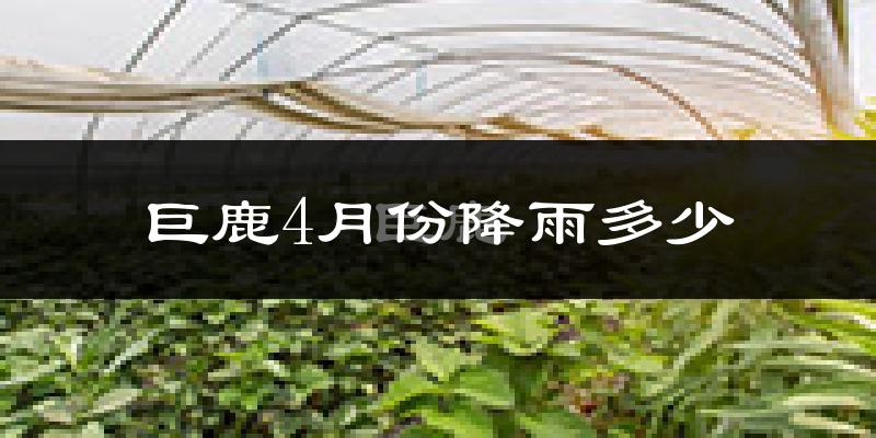 巨鹿4月份降雨多少?