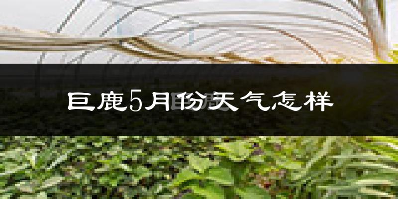 巨鹿县5月份天气如何?很热吗?