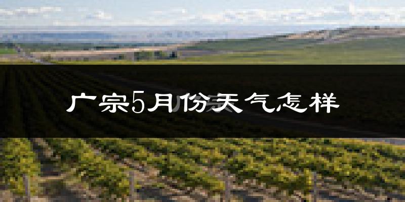 广宗县5月份天气如何?很热吗?