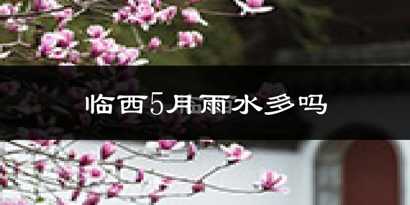 临西5月雨水多吗?