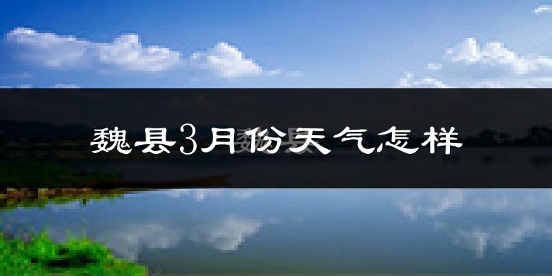 魏县3月份天气如何?冷吗?过去两年3月天气数据分析