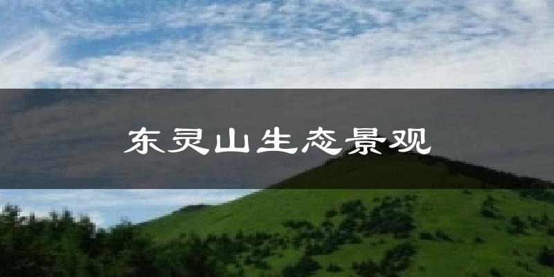东灵山生态景观天气预报十五天