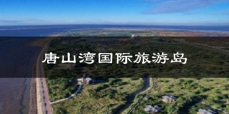 唐山湾国际旅游岛天气预报十五天