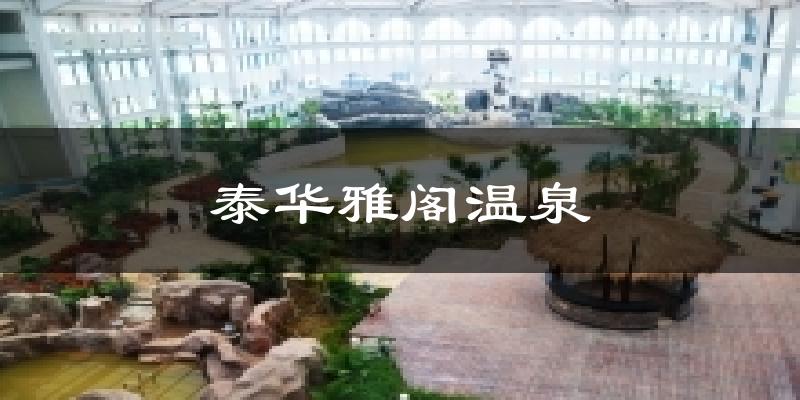 泰华雅阁温泉天气预报十五天