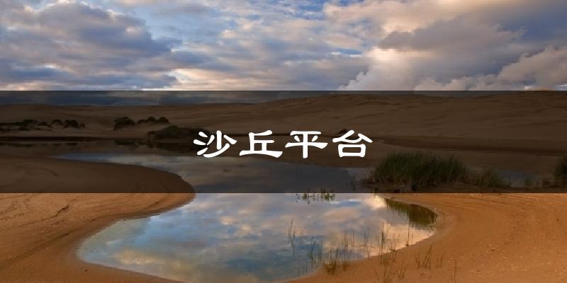 沙丘平台天气预报十五天