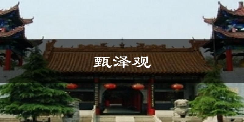 甄泽观天气预报十五天