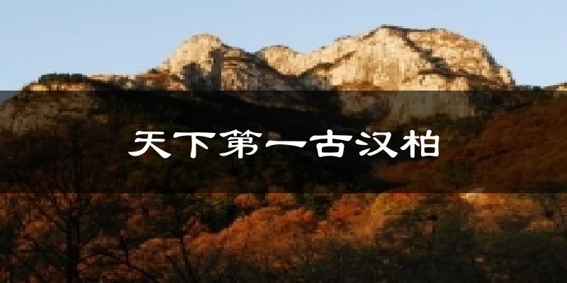 天下第一古汉柏天气预报十五天