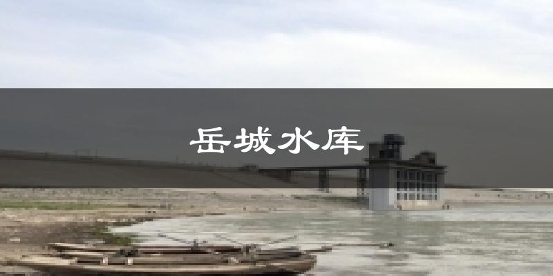 岳城水库天气预报十五天