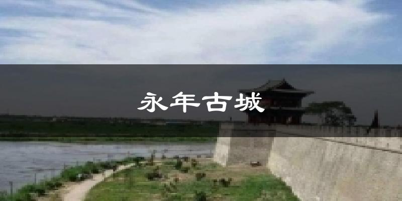 永年古城天气预报十五天