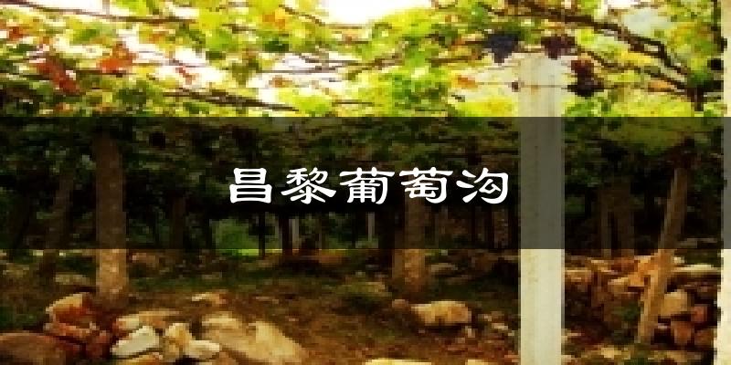 昌黎葡萄沟天气预报十五天