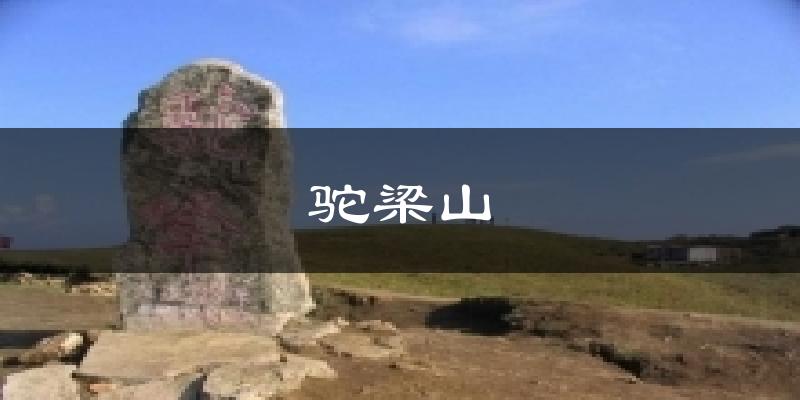 驼梁山天气预报十五天