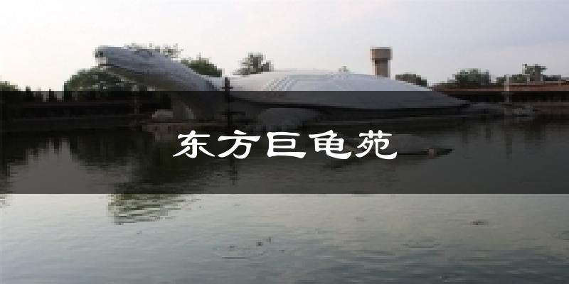 东方巨龟苑天气预报十五天