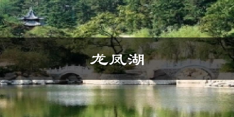 龙凤湖天气预报十五天