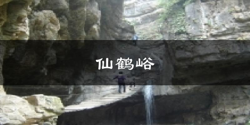仙鹤峪天气预报十五天