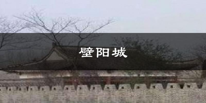 壁阳城天气预报十五天