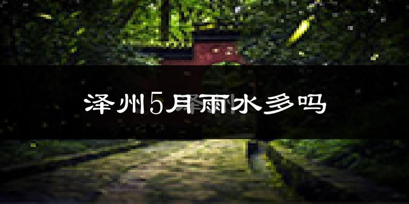 泽州5月雨水多吗?