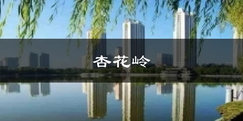 杏花岭天气预报十五天