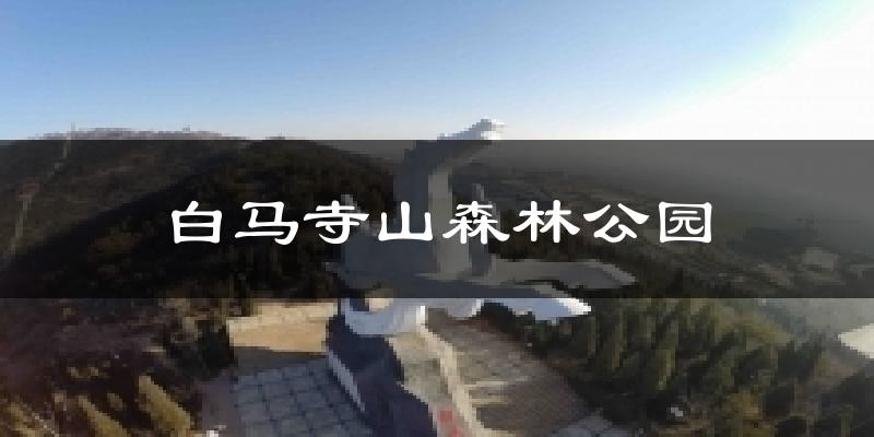 白马寺山森林公园天气预报十五天