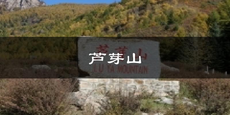 芦芽山天气预报十五天