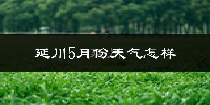 延川县5月份天气如何?很热吗?