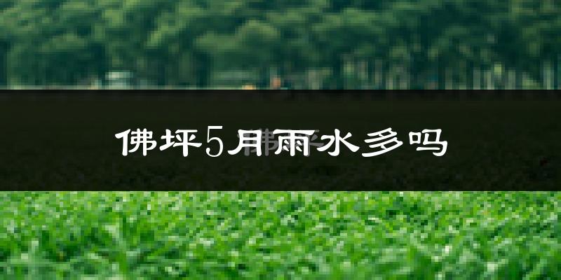 佛坪5月雨水多吗?