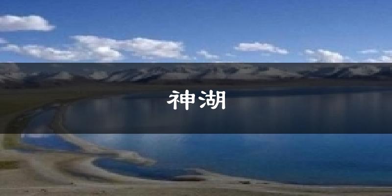 神湖天气预报十五天