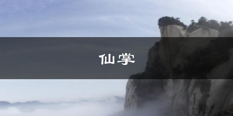 仙掌天气预报十五天
