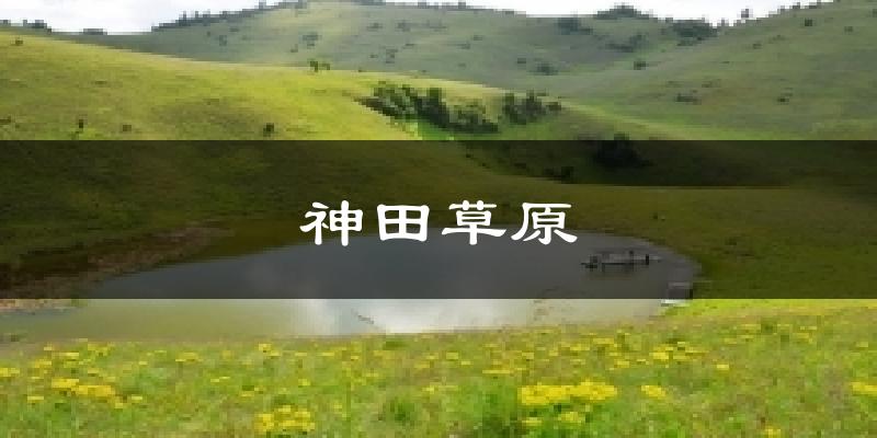 神田草原天气预报十五天
