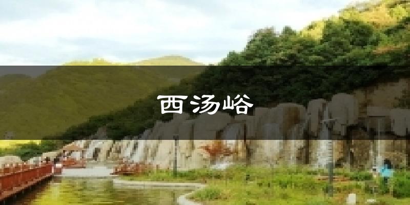 西汤峪天气预报十五天