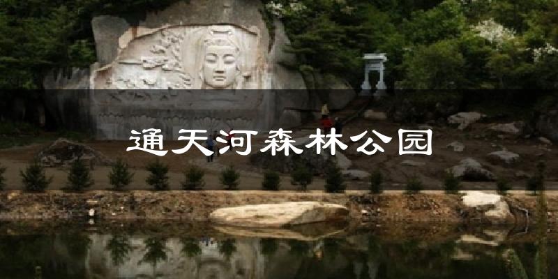 通天河森林公园天气预报十五天