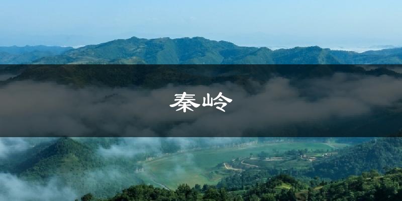 秦岭天气预报十五天