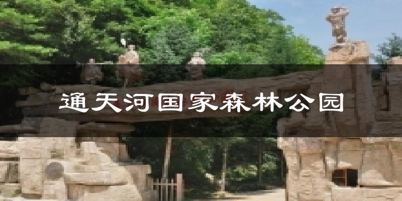 通天河国家森林公园天气预报十五天