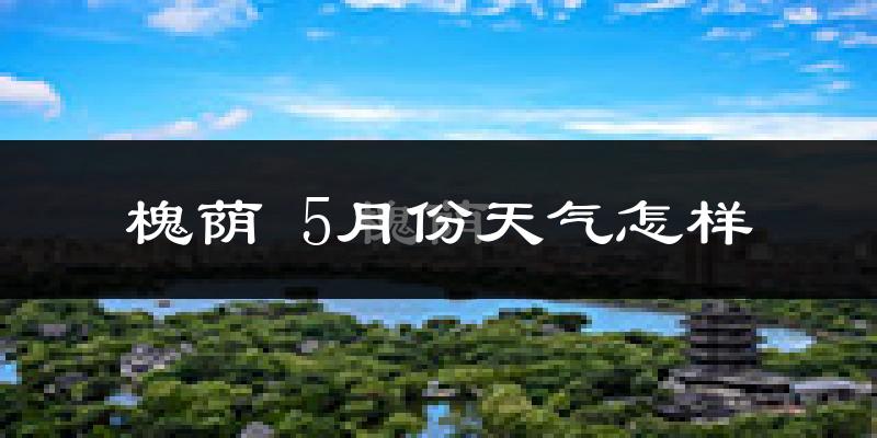 槐荫 5月份天气怎样?槐荫 五月冷不冷?