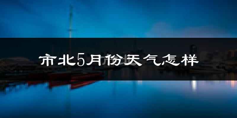 市北5月份天气怎样?市北五月冷不冷?