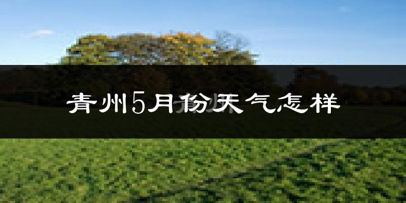 青州5月天气如何?很热吗?