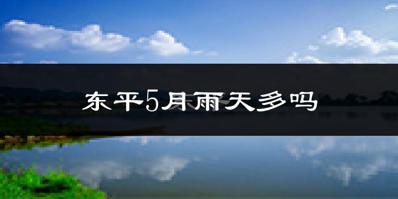 东平5月雨天多吗?