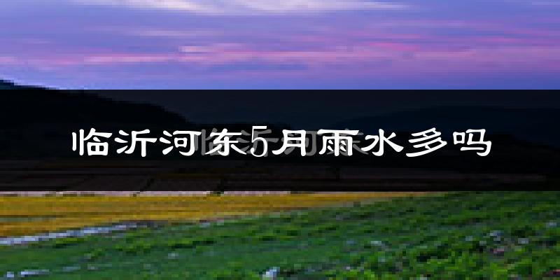 临沂河东5月雨水多吗?