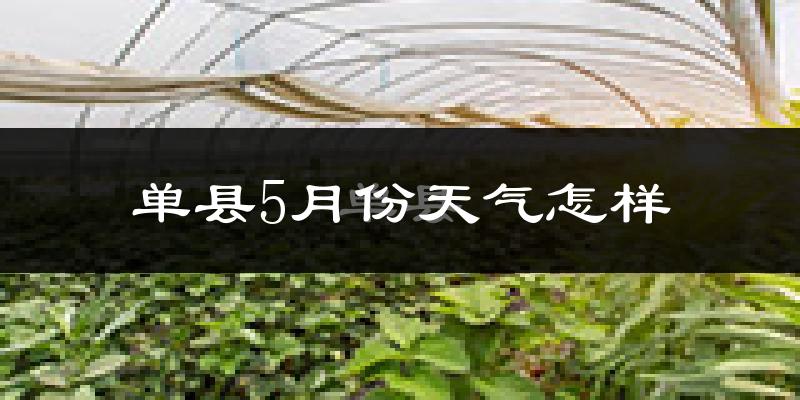 单县5月份天气如何?很热吗?