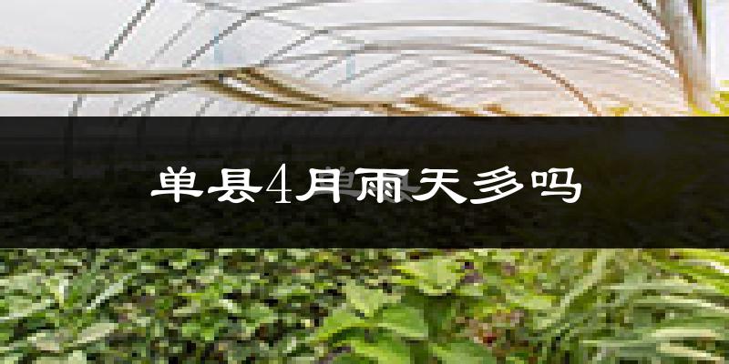 单县4月雨天多吗?
