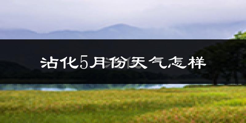 沾化5月份天气怎样?沾化五月冷不冷?
