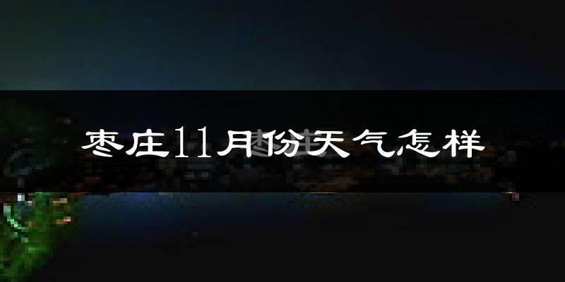 枣庄11月份天气怎样?枣庄十一月冷吗?