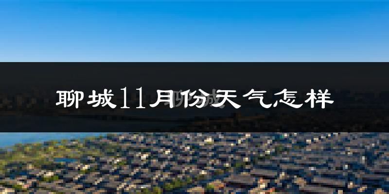 聊城11月份天气怎样?聊城十一月冷吗?