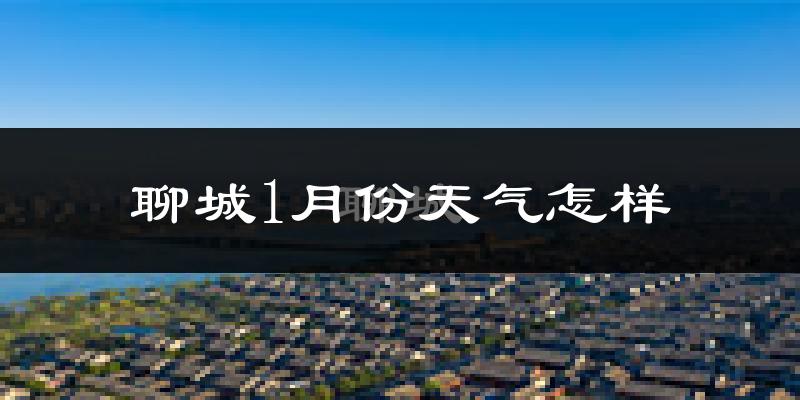 聊城市1月份天气如何?很冷吗?