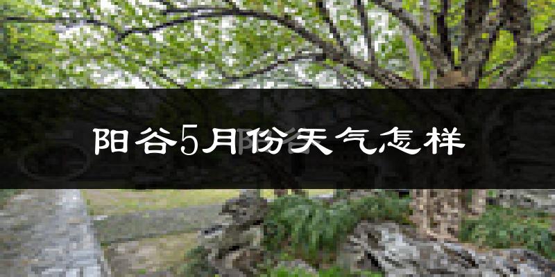 阳谷县5月份天气如何?很热吗?