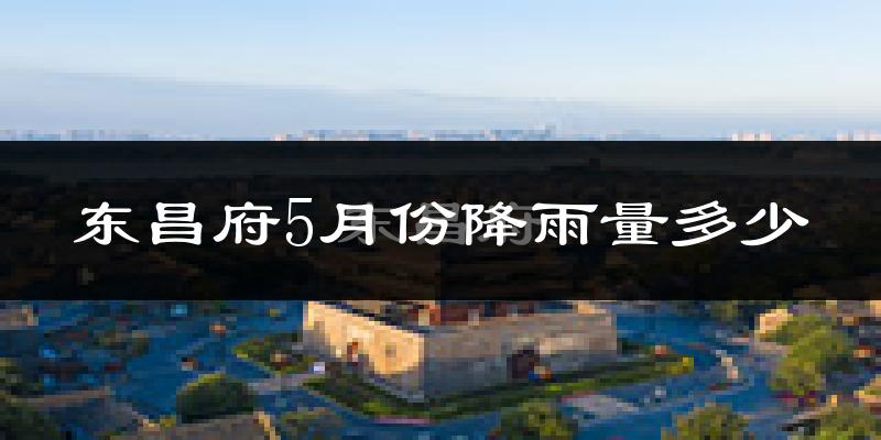 东昌府5月份降雨量多少?东昌府五月下雨多吗?