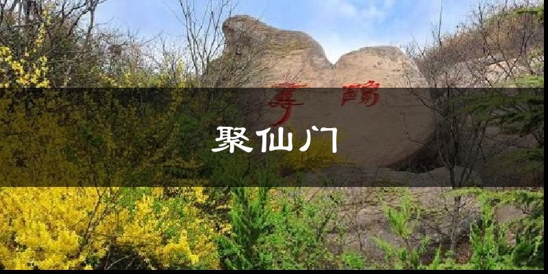 聚仙门天气预报十五天