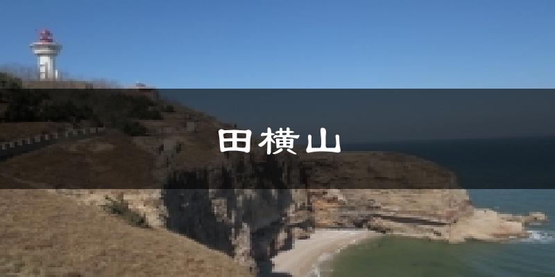 田横山天气预报十五天