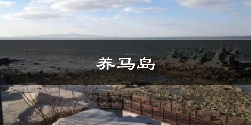 养马岛天气预报十五天